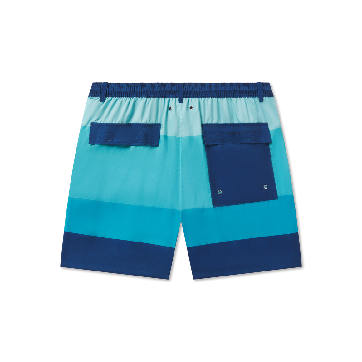 Blue  and  Teal | Back