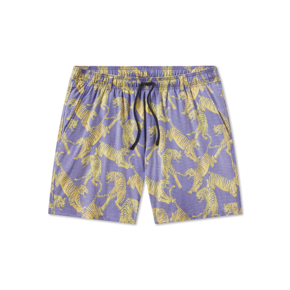 Purple & Yellow Tiger