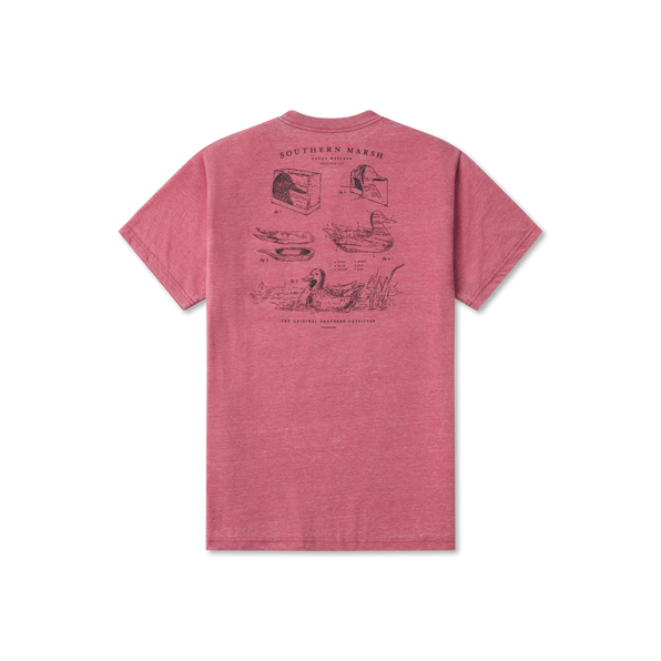 Rhubarb