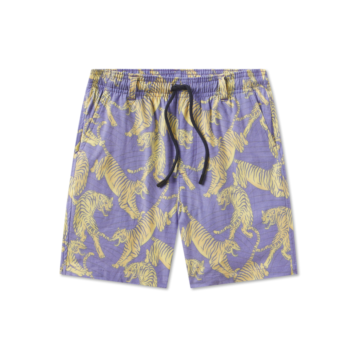 Purple & Yellow Tiger