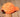 Neon Orange | Southern Marsh Neon Hat