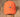 Washed Coral Hat with Navy Duck | Washed Hat