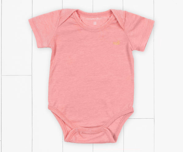 SEAWASH Coral